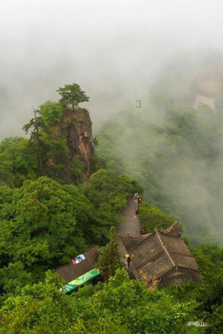 澳洲皮草