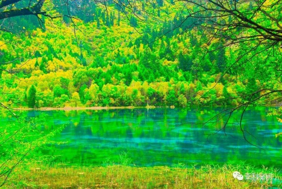 苹果新年大片《小蒜头》拍摄幕后曝光
