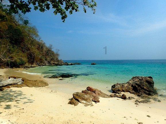 西安旅游：商旅出行需求持续恢复，预计2023年净亏损1.05亿元–1.5亿元，同比减亏