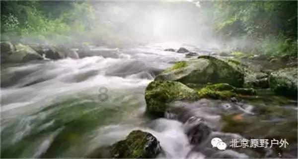 秦海璐皱纹都是戏，五大女主天然脸与硅胶脸对比明显