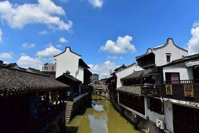 逃离大犀牛出没地