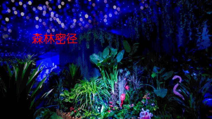 逃离魔法之森